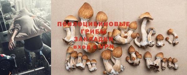 крисы Рославль