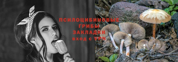 крисы Рославль