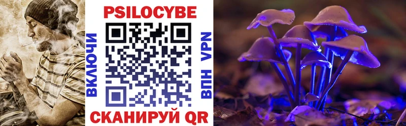 Купить закладки  Коркино  Псилоцибиновые грибы Magic Shrooms 